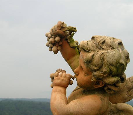 商业智能集成的加特林短信测压