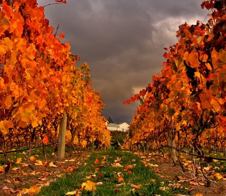 轰炸电话软件免费版在线轰炸