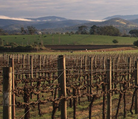 短信压力测试平台